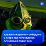������ ����������� ������� ��������� �� ������ ����� ����� � ����������� �������, ����� ��������� � ���������� ���������