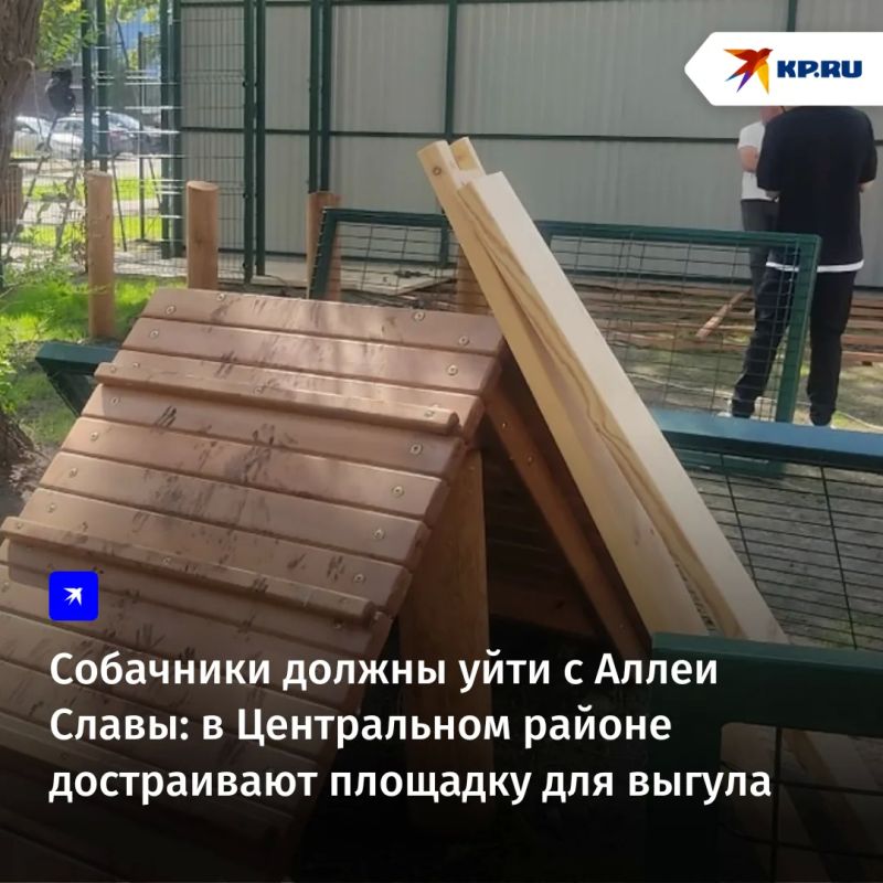 Собачникам, которые выгуливают своих питомцев на Аллее Славы, предлагают перейти на специальную площадку