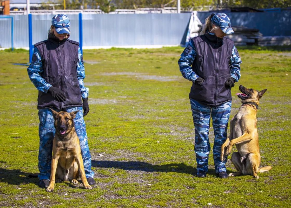 Свыше 250 собак несут службу в учреждениях ФСИН Челябинской области