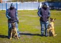 Свыше 250 собак несут службу в учреждениях ФСИН Челябинской области