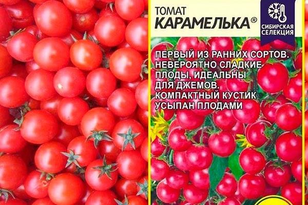 Томат Карамелька: маленькая сладость с большими возможностями
