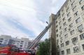 В Челябинске реанимировали кошку после пожара в девятиэтажке