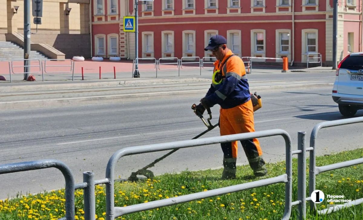 В Челябинске усилят работу по окашиванию травы