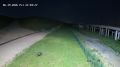 На рекультивированной городской свалке в Челябинске заметили гуляющего кабана