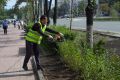 Стрижку кустов и уборку парков усилят в Челябинске по требованию мэра