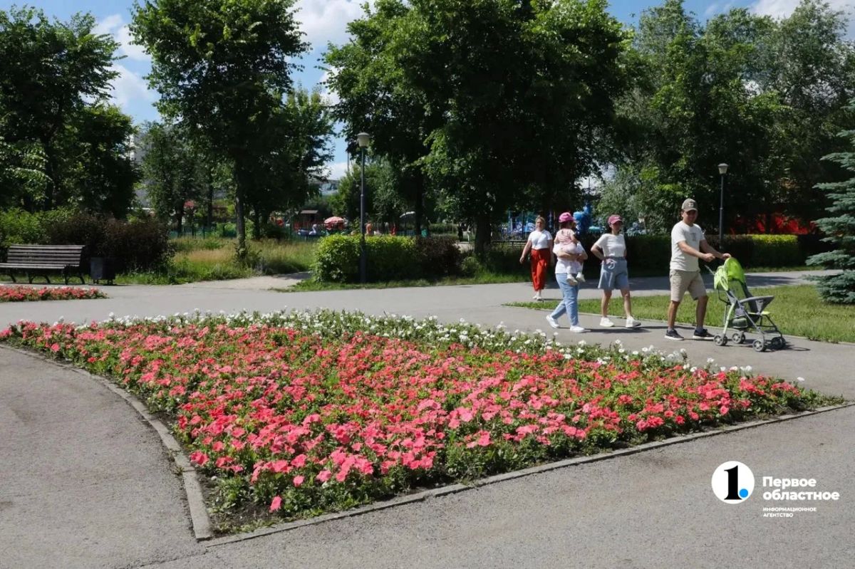 Экзотические деревья появятся в парке Магнитогорска Экзотические деревья появятся в парке Магнитогорска
