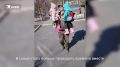 ������������� ���, ��� �� ���� � ����� �����: ��� ����������� ����� ��������� ��� � ��������� ���������� �������� �������� ������ ���� � ��������� ������