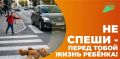 Акцент – на детской безопасности: на дорогах области появилась новая социальная реклама