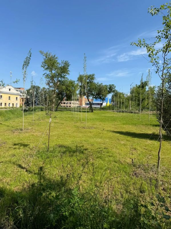 В Троицке завершилось озеленение сквера в поселке Жиркомбинат В Троицке завершилось озеленение сквера в поселке Жиркомбинат