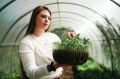 Ваш выбор решит все: голосуйте за лучших в конкурсе «Дачный сезон: весенний старт»!