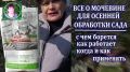 Как мочевина помогает садоводам готовиться к зиме