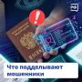 ��������� �������� ���������� � ������ �� 10�15 ����� ����������� ����� �������������, ��������, ������������ ����� � ����� �������������, ������� �� ������ �������� �������� �����