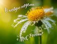 #����������������������. ���� ������ ������: ������, ���������, ������������