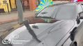 � ���������� ������ �����������-�����������