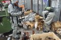 Емкости с химическими веществами нашли на мусорной площадке в Челябинске