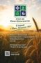ГОТОВЫ ВРЫВАТЬСЯ В IT? У НАС ЕСТЬ ДЛЯ ТЕБЯ ИДЕАЛЬНЫЙ ПЛАН!