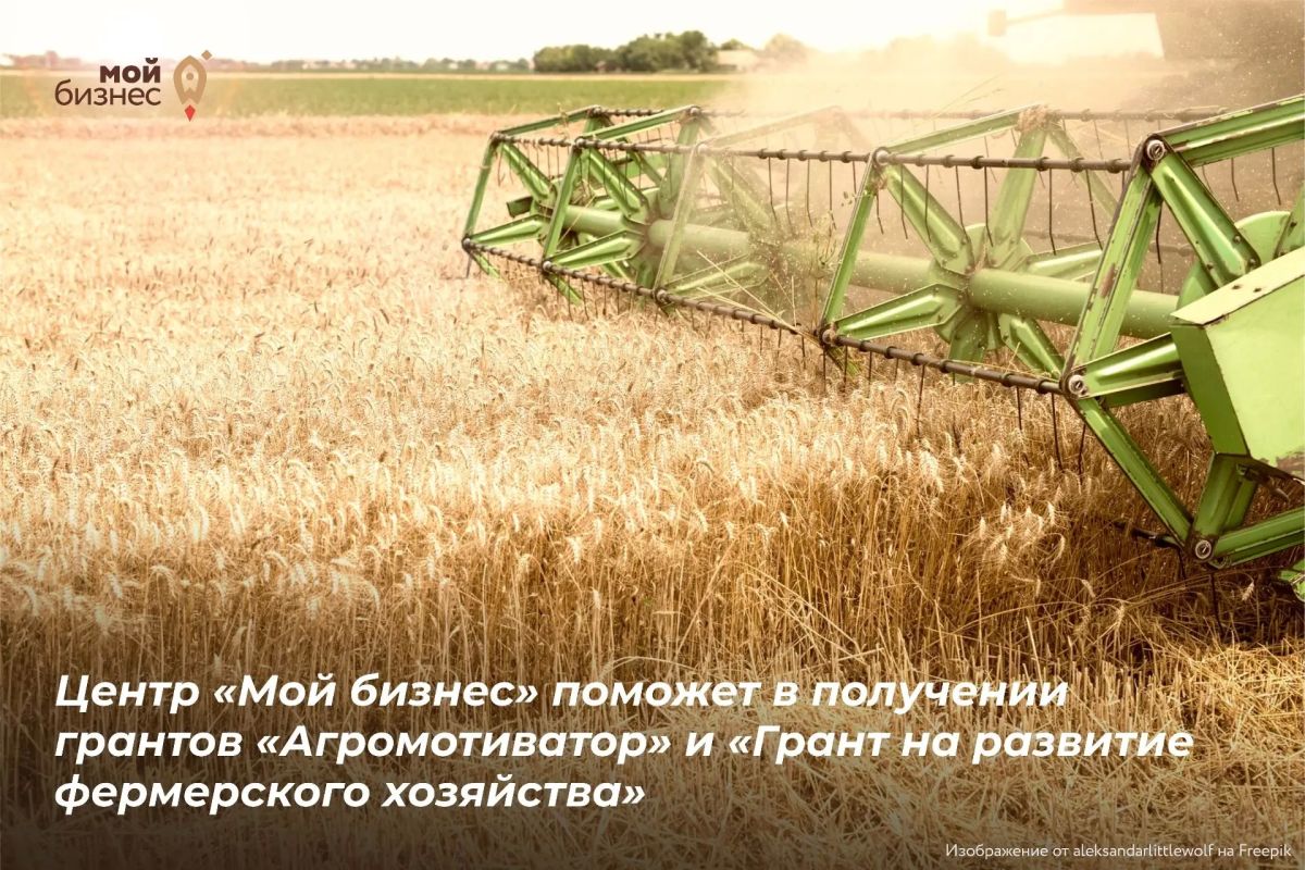 Центр «Мой бизнес» поможет получить гранты на развитие агробизнеса для фермеров и ветеранов СВО