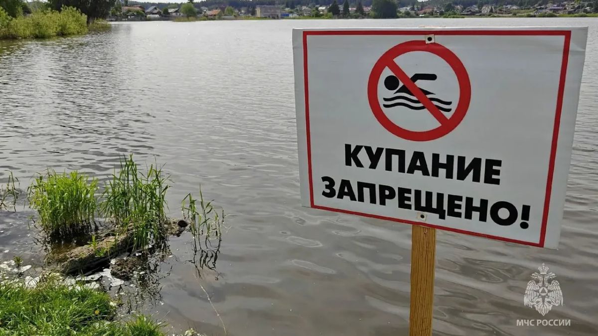 Челябинцам грозят штрафы за купание в запрещенных местах