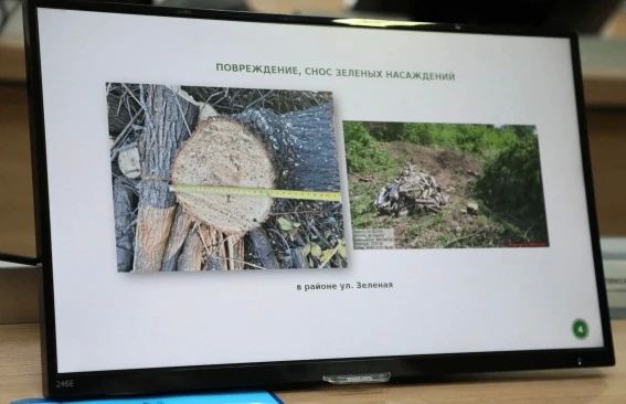 Экологический контроль: о выявленных нарушениях правил благоустройства города Экологический контроль: о выявленных нарушениях правил благоустройства города