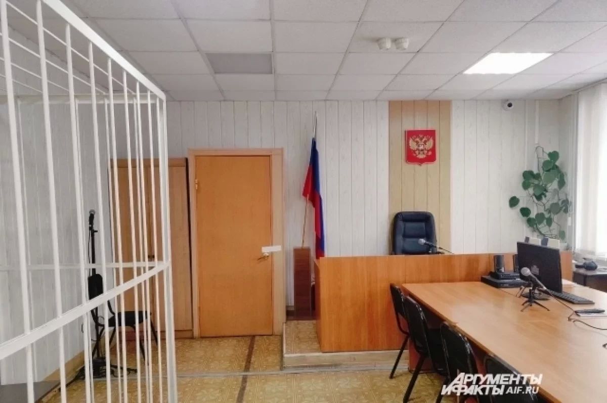 Челябинский суд вынес приговор виновнице гибели матери и её двоих детей