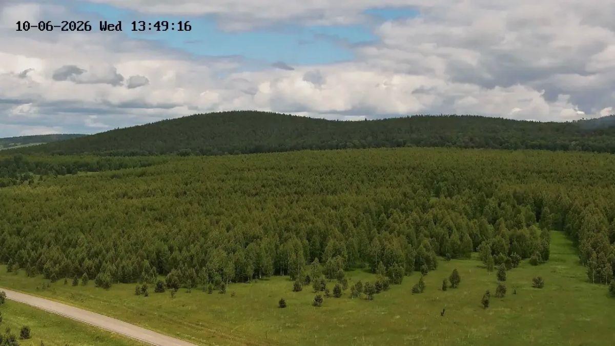 С помощью видеокамер мы следим за пожарной безопасностью в лесах региона и выявляем нарушения С помощью видеокамер мы следим за пожарной безопасностью в лесах региона и выявляем нарушения