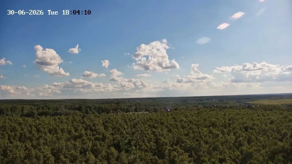 С помощью видеокамер мы следим за пожарной безопасностью в лесах региона и выявляем нарушения С помощью видеокамер мы следим за пожарной безопасностью в лесах региона и выявляем нарушения
