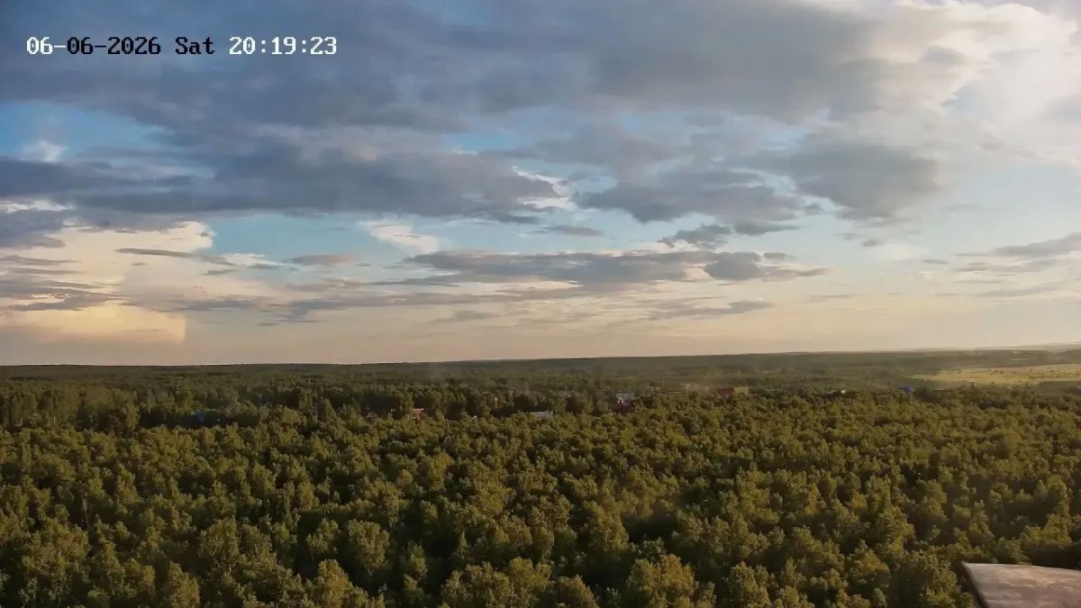 С помощью видеокамер мы следим за пожарной безопасностью в лесах региона и выявляем нарушения С помощью видеокамер мы следим за пожарной безопасностью в лесах региона и выявляем нарушения