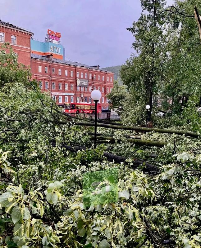После урагана в Златоусте остановлено движение трамваев После урагана в Златоусте остановлено движение трамваев