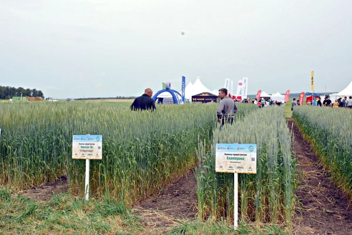 14 июля в 11:00 в Министерстве сельского хозяйства Челябинской области состоится пресс-конференция, посвящённая итогам посевной кампании, прогнозу по сбору урожая и подготовке к XIV Сельскохозяйственной выставке «ДЕНЬ ПОЛЯ –...