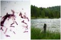 Водоёмы летом опасны? Кому грозит «зуд купальщика»