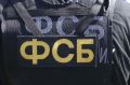 ФСБ предотвратила удар дронами по аэродрому Шагол