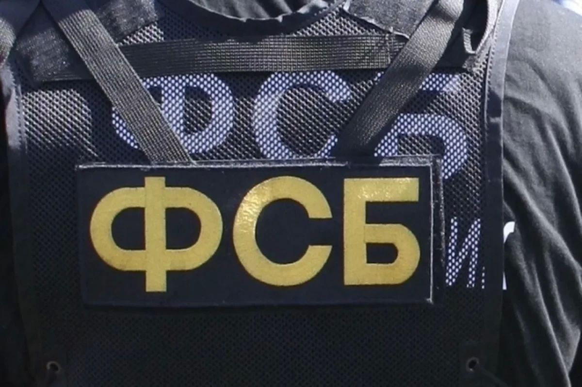 ФСБ предотвратила удар дронами по аэродрому Шагол