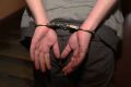 � ���������� ������� ������ �� �������������� ��� ���������� ��������