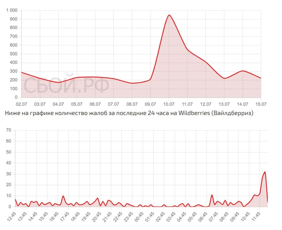 О проблемах с доступом к Wildberries заявили клиенты в Челябинской области