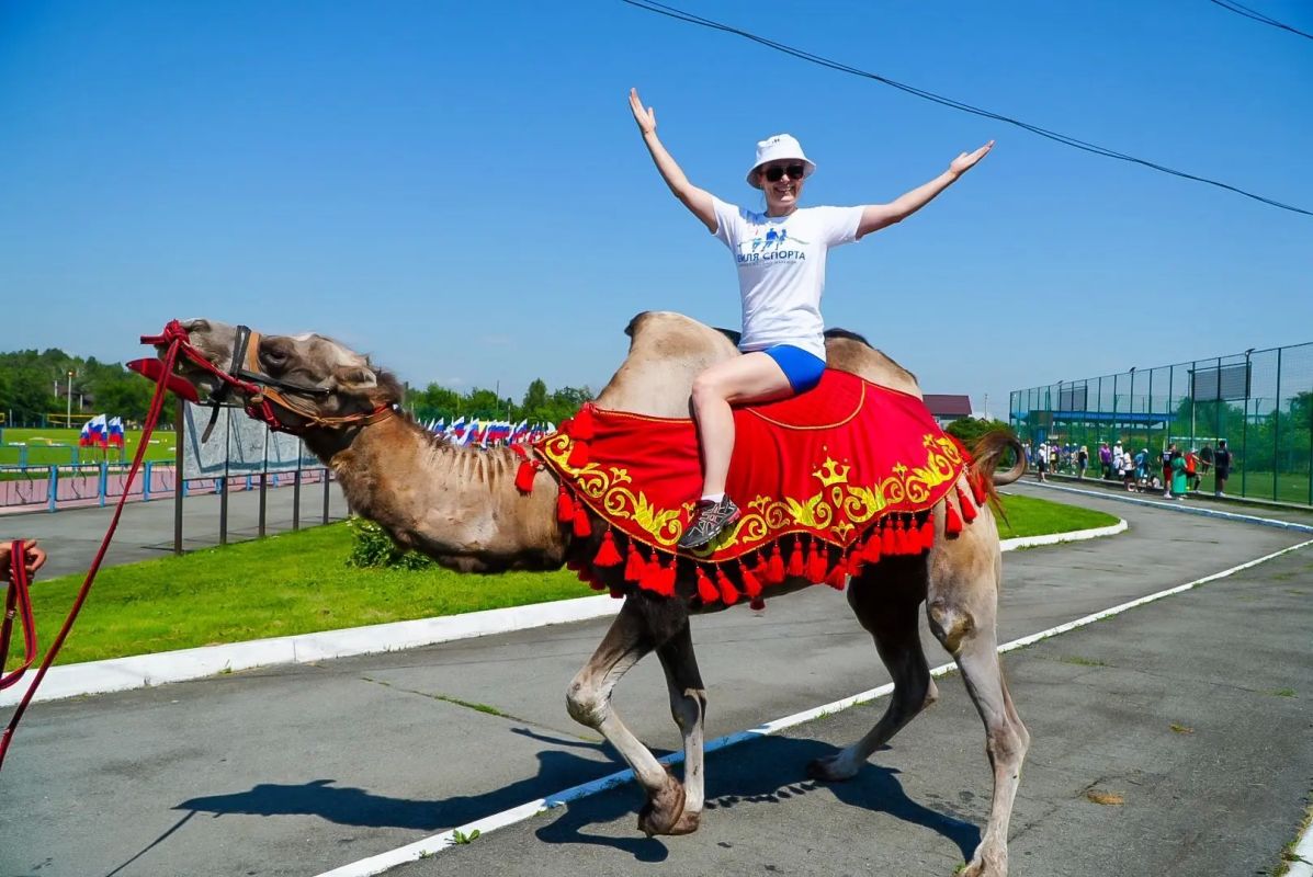 ВСЕРОССИЙСКИЙ МАРАФОН «ЗЕМЛЯ СПОРТА» В ЕТКУЛЕ ВСЕРОССИЙСКИЙ МАРАФОН «ЗЕМЛЯ СПОРТА» В ЕТКУЛЕ