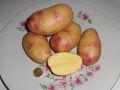 Картофель Повелитель просторов: вкус, который радует