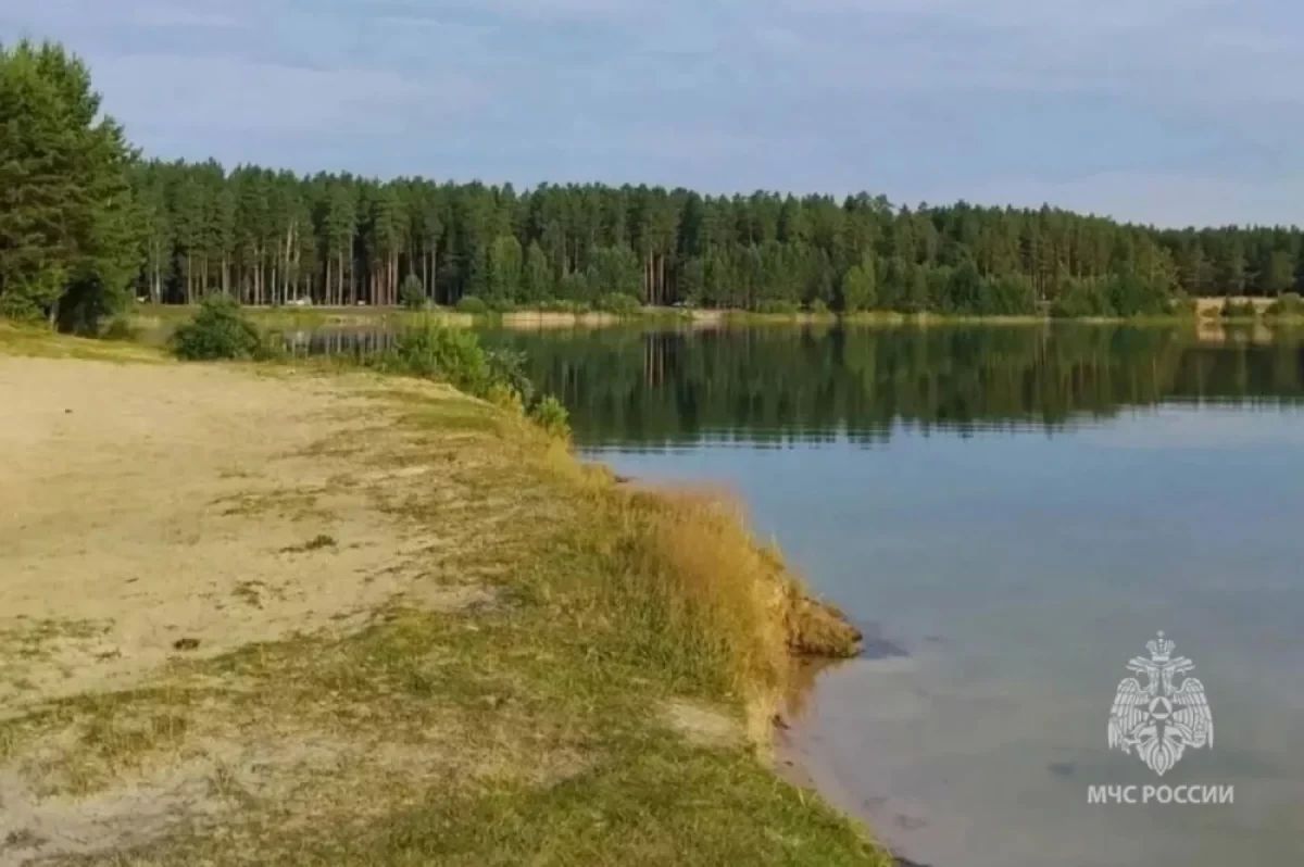 В Курганской области во время купания утонули два брата