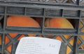 Таможенники не пустили 20 тонн персиков через границу с Челябинской областью
