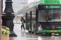 В Челябинске предложили создать чат-бот по температуре в общественном транспорте
