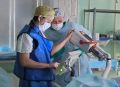 Челябинские онкологи научились замораживать опухоль