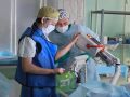 Челябинские онкологи заморозили опухоль размером с теннисный мяч