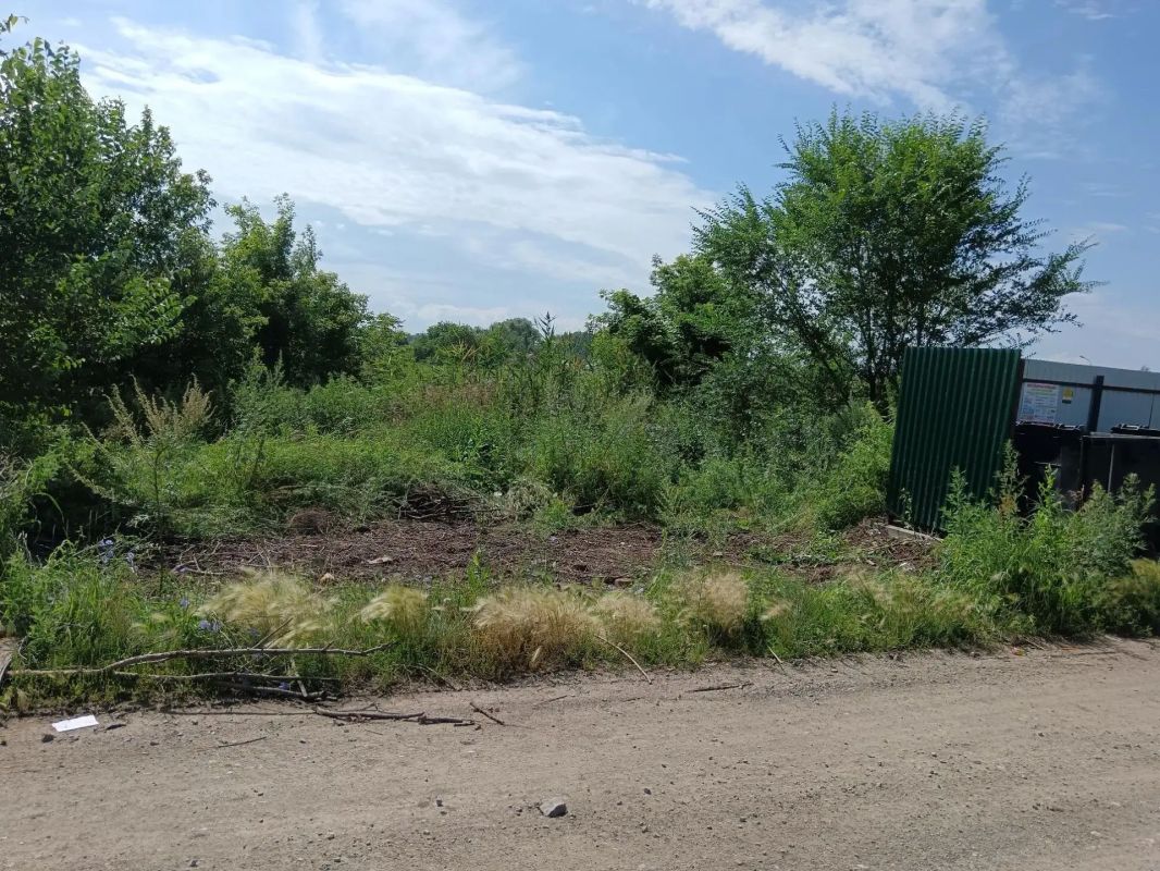 В Копейске стартовали летние субботники В Копейске стартовали летние субботники