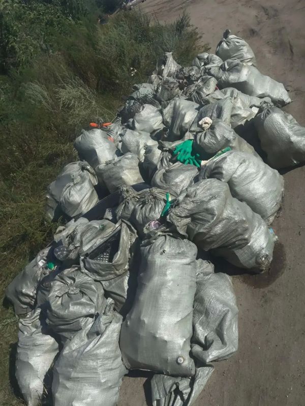 В Копейске стартовали летние субботники В Копейске стартовали летние субботники