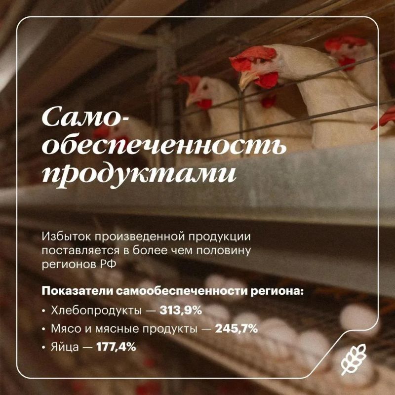 На «Дне поля» в Челябинской области представят передовые агротехнологии и новые решения На «Дне поля» в Челябинской области представят передовые агротехнологии и новые решения