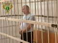 Челябинец заключен под стражу за убийство, совершенное более 25 лет назад