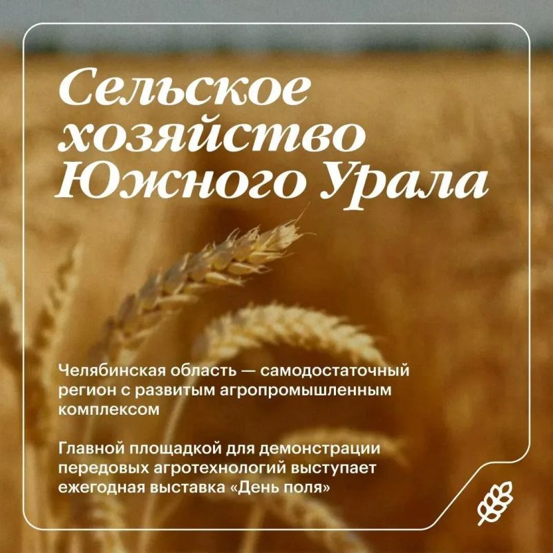 На «Дне поля» в Челябинской области представят передовые агротехнологии и новые решения