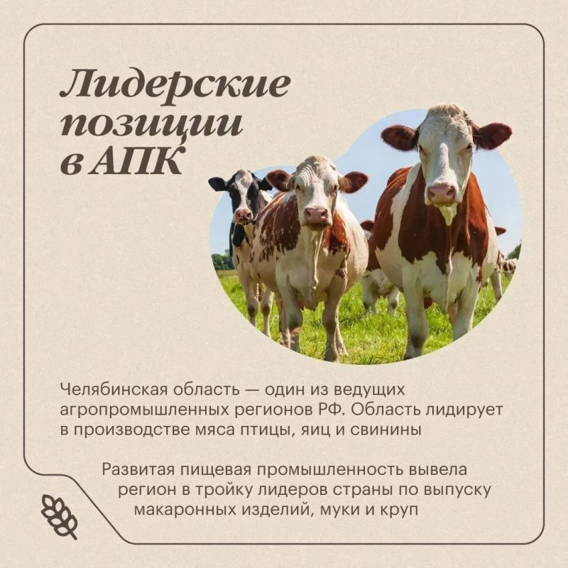 На «Дне поля» в Челябинской области представят передовые агротехнологии и новые решения На «Дне поля» в Челябинской области представят передовые агротехнологии и новые решения