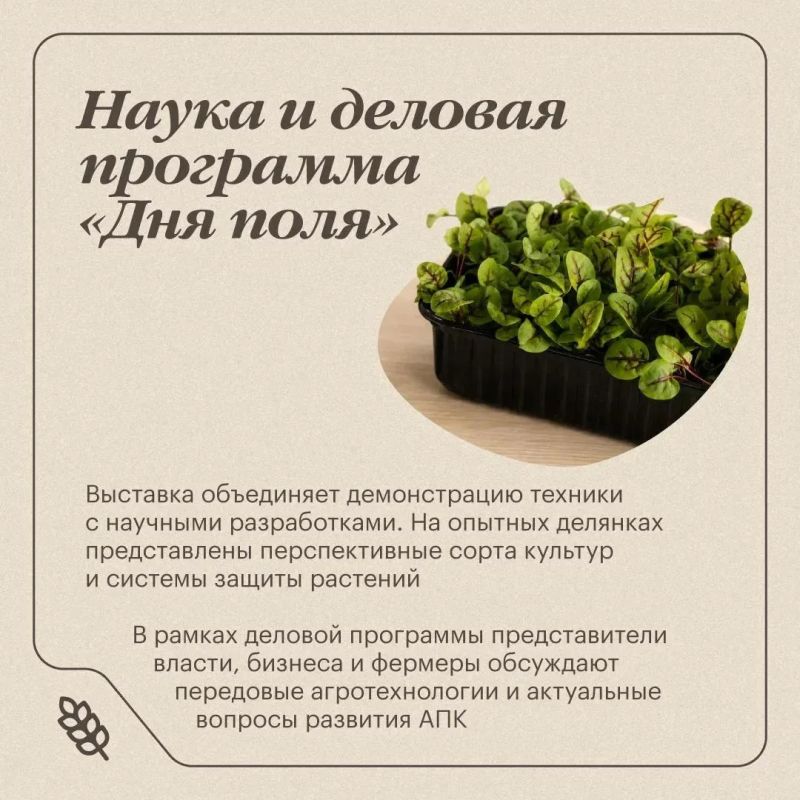 На «Дне поля» в Челябинской области представят передовые агротехнологии и новые решения На «Дне поля» в Челябинской области представят передовые агротехнологии и новые решения