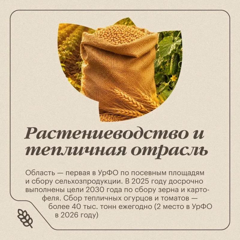 На «Дне поля» в Челябинской области представят передовые агротехнологии и новые решения На «Дне поля» в Челябинской области представят передовые агротехнологии и новые решения