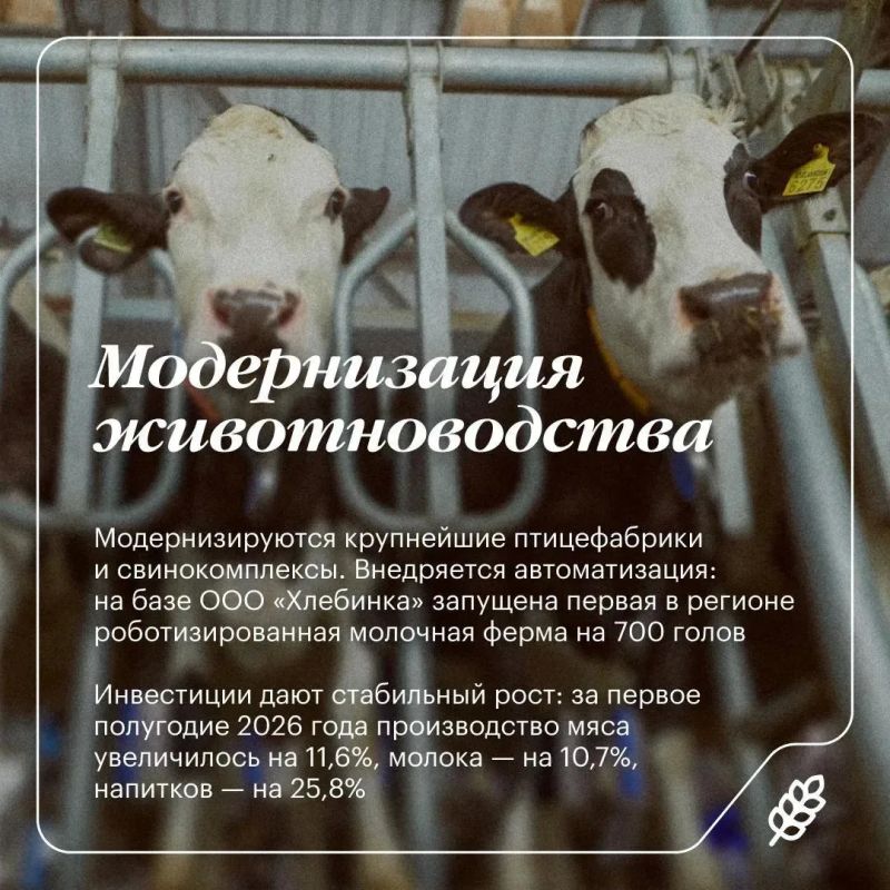 На «Дне поля» в Челябинской области представят передовые агротехнологии и новые решения На «Дне поля» в Челябинской области представят передовые агротехнологии и новые решения